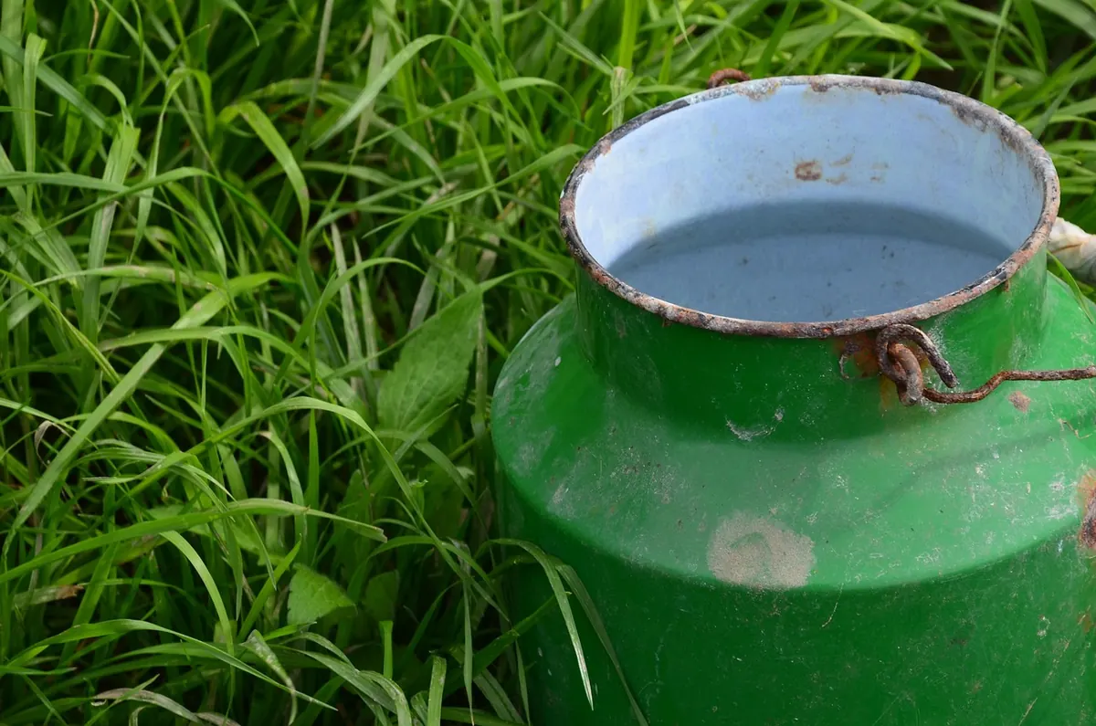 5 Costly Irrigation Mistakes to Avoid in Your First Year of Meadow Establishment