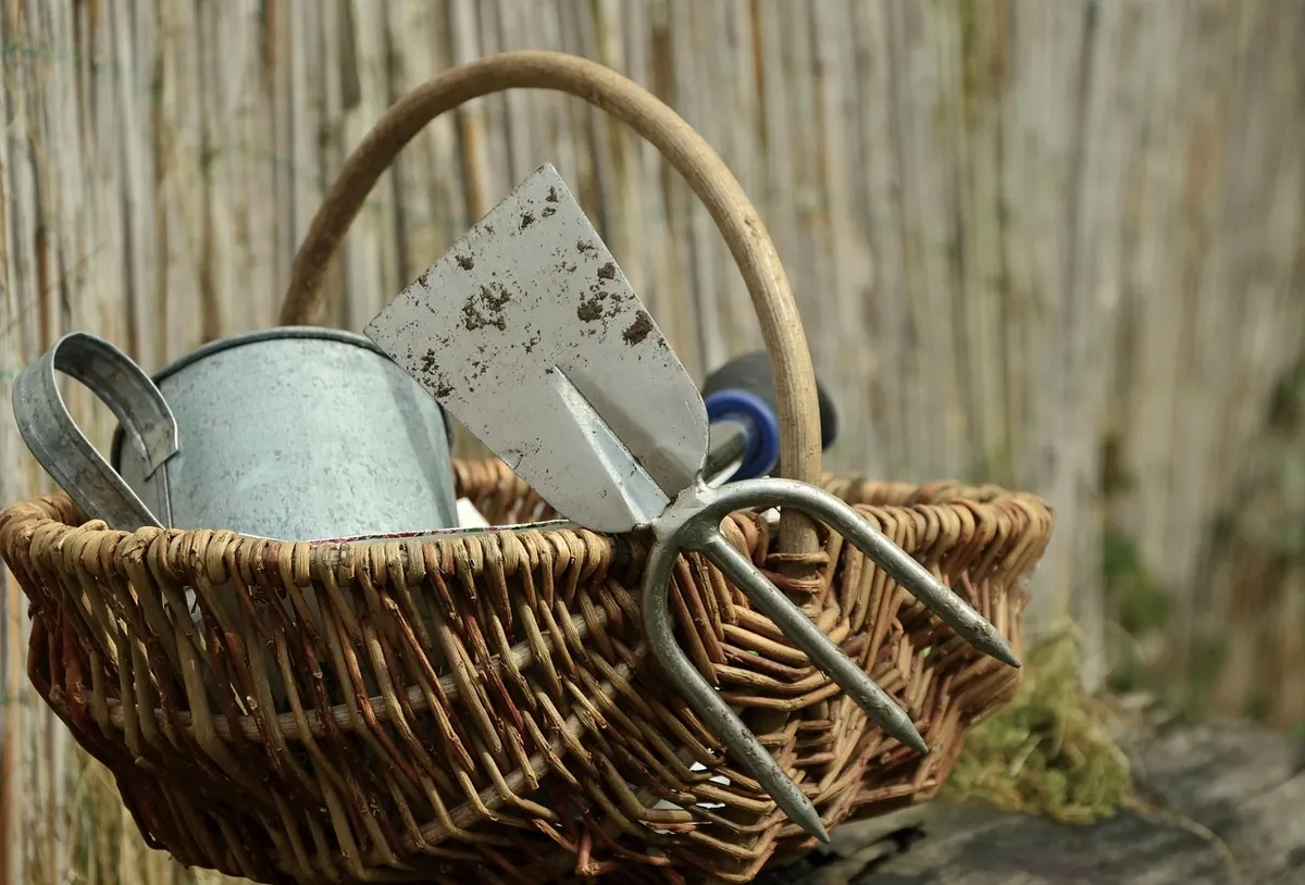 The Spring Meadow Checklist: 12 Jobs for a Thriving Wildflower Patch